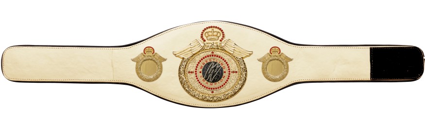 WRESTLING CHAMPIONSHIP BELT-PROWING/G/WRESTGEMG-6+ COLOURS
